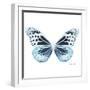 Miss Butterfly Melaneus Sq - X-Ray White Edition-Philippe Hugonnard-Framed Photographic Print