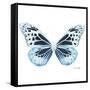 Miss Butterfly Melaneus Sq - X-Ray White Edition-Philippe Hugonnard-Framed Stretched Canvas