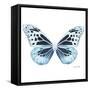 Miss Butterfly Melaneus Sq - X-Ray White Edition-Philippe Hugonnard-Framed Stretched Canvas