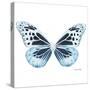 Miss Butterfly Melaneus Sq - X-Ray White Edition-Philippe Hugonnard-Stretched Canvas