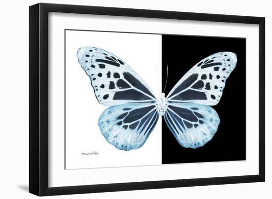 Miss Butterfly Melaneus - X-Ray B&W Edition-Philippe Hugonnard-Framed Photographic Print