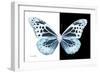 Miss Butterfly Melaneus - X-Ray B&W Edition-Philippe Hugonnard-Framed Photographic Print