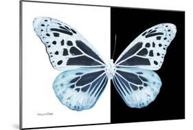 Miss Butterfly Melaneus - X-Ray B&W Edition-Philippe Hugonnard-Mounted Photographic Print