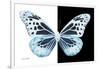 Miss Butterfly Melaneus - X-Ray B&W Edition-Philippe Hugonnard-Framed Photographic Print