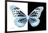Miss Butterfly Melaneus - X-Ray B&W Edition-Philippe Hugonnard-Framed Photographic Print