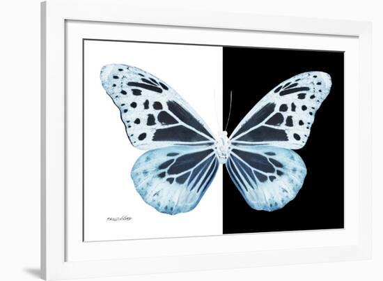 Miss Butterfly Melaneus - X-Ray B&W Edition-Philippe Hugonnard-Framed Photographic Print