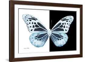 Miss Butterfly Melaneus - X-Ray B&W Edition-Philippe Hugonnard-Framed Photographic Print