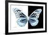 Miss Butterfly Melaneus - X-Ray B&W Edition-Philippe Hugonnard-Framed Photographic Print