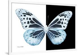 Miss Butterfly Melaneus - X-Ray B&W Edition-Philippe Hugonnard-Framed Photographic Print