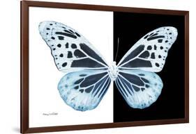 Miss Butterfly Melaneus - X-Ray B&W Edition-Philippe Hugonnard-Framed Photographic Print