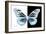 Miss Butterfly Melaneus - X-Ray B&W Edition-Philippe Hugonnard-Framed Photographic Print