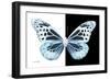 Miss Butterfly Melaneus - X-Ray B&W Edition-Philippe Hugonnard-Framed Photographic Print