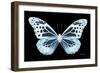 Miss Butterfly Melaneus - X-Ray Black Edition-Philippe Hugonnard-Framed Photographic Print