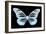 Miss Butterfly Melaneus - X-Ray Black Edition-Philippe Hugonnard-Framed Photographic Print