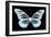 Miss Butterfly Melaneus - X-Ray Black Edition-Philippe Hugonnard-Framed Photographic Print