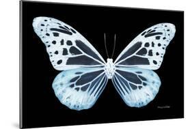 Miss Butterfly Melaneus - X-Ray Black Edition-Philippe Hugonnard-Mounted Photographic Print