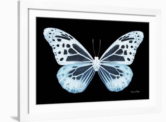Miss Butterfly Melaneus - X-Ray Black Edition-Philippe Hugonnard-Framed Photographic Print