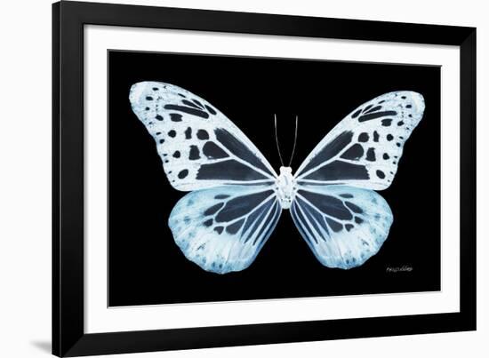 Miss Butterfly Melaneus - X-Ray Black Edition-Philippe Hugonnard-Framed Photographic Print