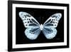 Miss Butterfly Melaneus - X-Ray Black Edition-Philippe Hugonnard-Framed Photographic Print