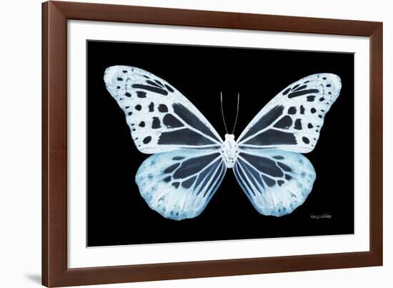 Miss Butterfly Melaneus - X-Ray Black Edition-Philippe Hugonnard-Framed Photographic Print