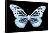 Miss Butterfly Melaneus - X-Ray Black Edition-Philippe Hugonnard-Framed Stretched Canvas