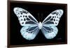 Miss Butterfly Melaneus - X-Ray Black Edition-Philippe Hugonnard-Framed Photographic Print