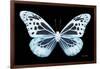 Miss Butterfly Melaneus - X-Ray Black Edition-Philippe Hugonnard-Framed Photographic Print