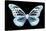 Miss Butterfly Melaneus - X-Ray Black Edition-Philippe Hugonnard-Stretched Canvas