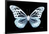 Miss Butterfly Melaneus - X-Ray Black Edition-Philippe Hugonnard-Framed Photographic Print