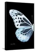 Miss Butterfly Melaneus - X-Ray Left Black Edition-Philippe Hugonnard-Framed Stretched Canvas