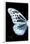 Miss Butterfly Melaneus - X-Ray Left Black Edition-Philippe Hugonnard-Framed Premium Photographic Print