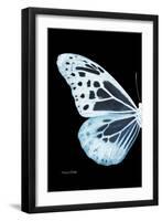 Miss Butterfly Melaneus - X-Ray Left Black Edition-Philippe Hugonnard-Framed Photographic Print