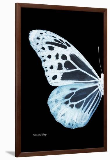 Miss Butterfly Melaneus - X-Ray Left Black Edition-Philippe Hugonnard-Framed Photographic Print