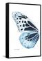 Miss Butterfly Melaneus - X-Ray Left White Edition-Philippe Hugonnard-Framed Stretched Canvas