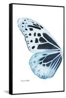 Miss Butterfly Melaneus - X-Ray Left White Edition-Philippe Hugonnard-Framed Stretched Canvas