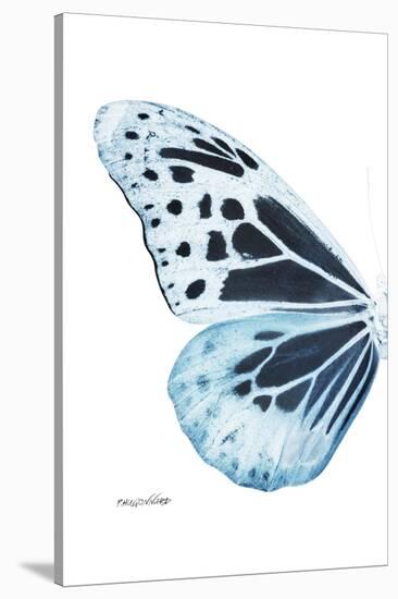 Miss Butterfly Melaneus - X-Ray Left White Edition-Philippe Hugonnard-Stretched Canvas