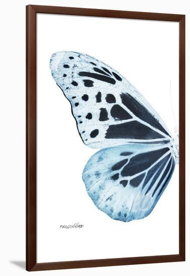 Miss Butterfly Melaneus - X-Ray Left White Edition-Philippe Hugonnard-Framed Photographic Print