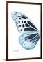 Miss Butterfly Melaneus - X-Ray Left White Edition-Philippe Hugonnard-Framed Photographic Print