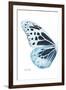 Miss Butterfly Melaneus - X-Ray Left White Edition-Philippe Hugonnard-Framed Premium Photographic Print