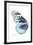 Miss Butterfly Melaneus - X-Ray Left White Edition-Philippe Hugonnard-Framed Premium Photographic Print