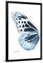 Miss Butterfly Melaneus - X-Ray Left White Edition-Philippe Hugonnard-Framed Photographic Print