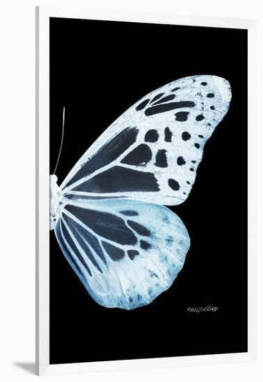 Miss Butterfly Melaneus - X-Ray Right Black Edition-Philippe Hugonnard-Framed Photographic Print