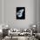 Miss Butterfly Melaneus - X-Ray Right Black Edition-Philippe Hugonnard-Framed Photographic Print displayed on a wall