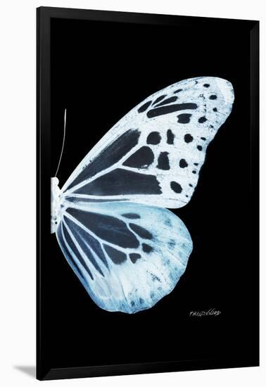 Miss Butterfly Melaneus - X-Ray Right Black Edition-Philippe Hugonnard-Framed Photographic Print