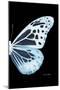 Miss Butterfly Melaneus - X-Ray Right Black Edition-Philippe Hugonnard-Mounted Photographic Print