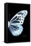 Miss Butterfly Melaneus - X-Ray Right Black Edition-Philippe Hugonnard-Framed Stretched Canvas