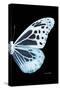 Miss Butterfly Melaneus - X-Ray Right Black Edition-Philippe Hugonnard-Stretched Canvas