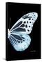 Miss Butterfly Melaneus - X-Ray Right Black Edition-Philippe Hugonnard-Framed Stretched Canvas