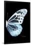 Miss Butterfly Melaneus - X-Ray Right Black Edition-Philippe Hugonnard-Framed Photographic Print