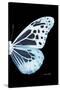 Miss Butterfly Melaneus - X-Ray Right Black Edition-Philippe Hugonnard-Stretched Canvas